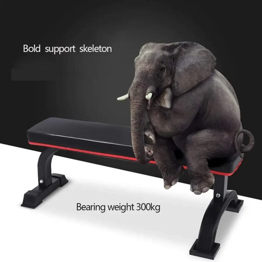 Flat Dumbbell Bench With Storage Rack Indoor Strength Training Fitness Gear 2026 — image 5