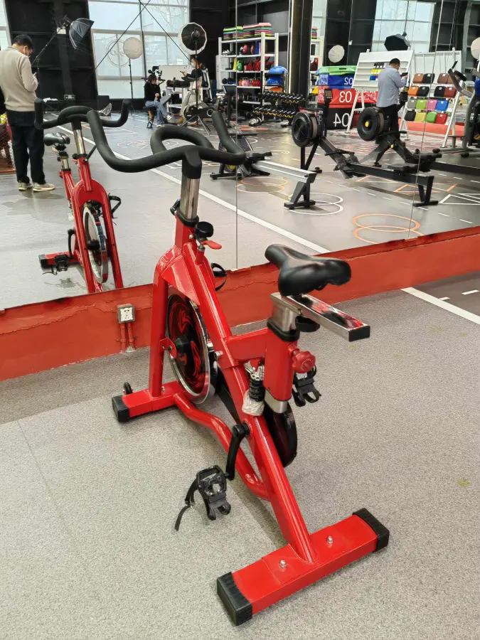 Home Gym Fitness Equipment Cardio Gym Machines Home Bikes Spin Exercise Bike for Training1 — image 3
