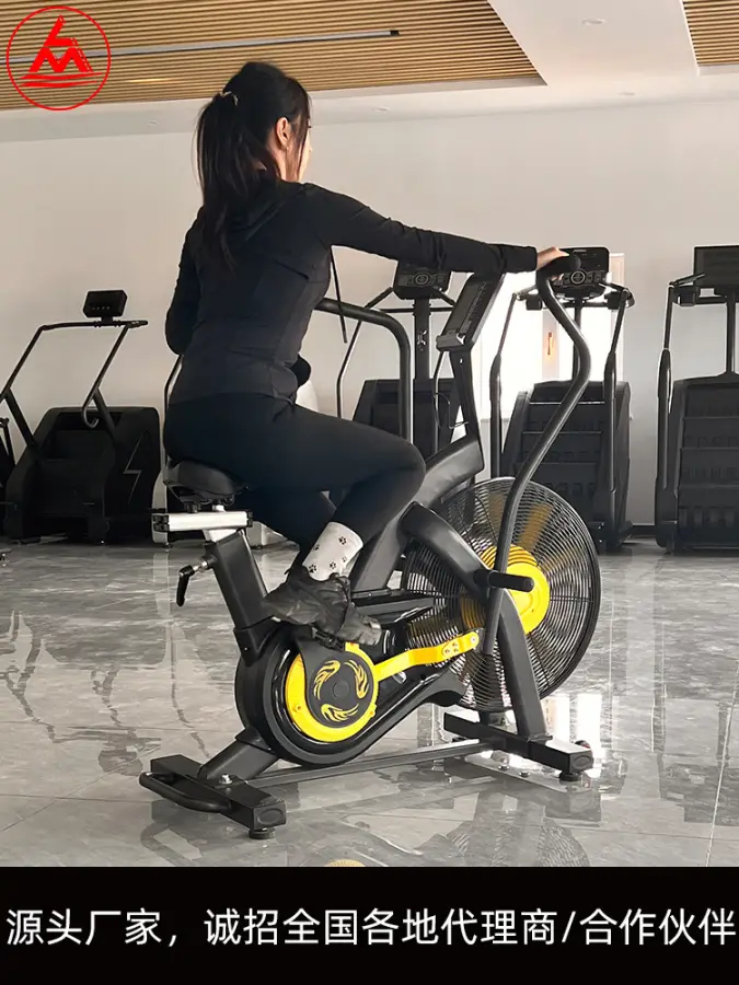 Air Bike with Quiet Fan for Apartment Cardio Training Home Use Fitness Equipment Spinning Exercise Bike1 — image 5