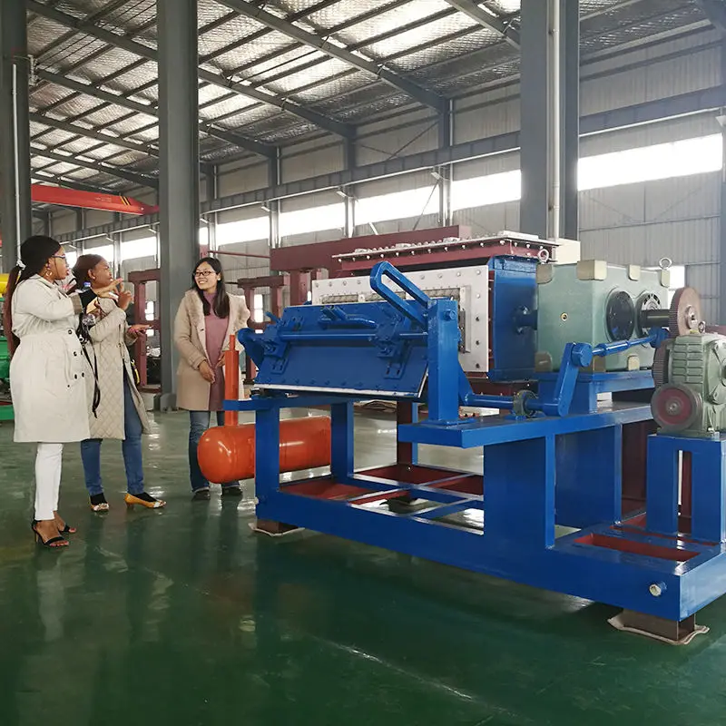 Hot Sale Paper Pulp Fruit Tray Moulding Machine Egg Carton Tray Making Machine — view 6