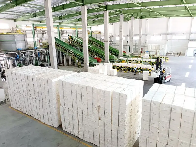 Cost of Bamboo Toilet Tissue Paper Making Machine — view 4