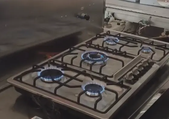 Stainless Steel Gas Burner Built-in 5 Stoves Natural Gas Cooktops Cooker — image 3