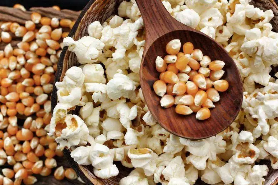 Commercial Stainless Steel Electric Popcorn Machine Cart Popcorn Machine Supplier Maker — view 5