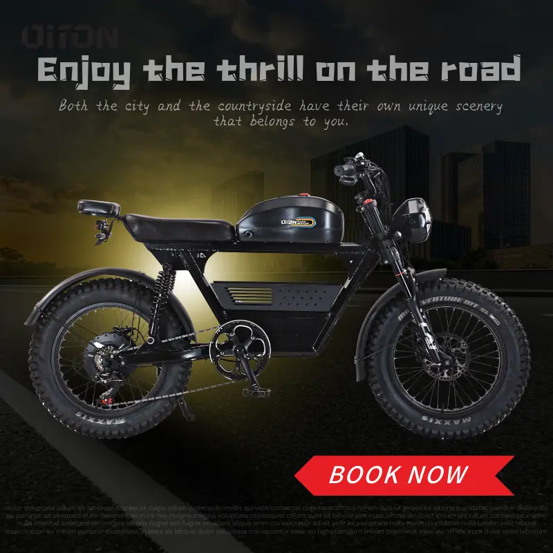 Diton 52V 1500W Fat Tire Electric Bike Adventure Ready E-Bike with 30Ah Battery Rugged Ride for City & Trail — image 5