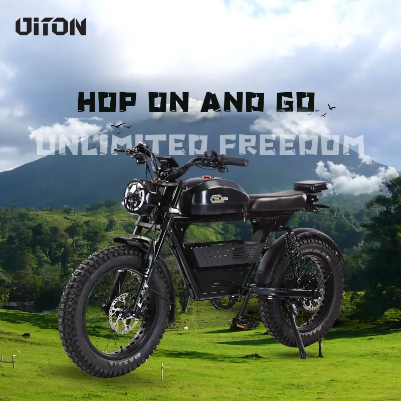 Diton 52V 1500W Fat Tire Electric Bike Adventure Ready E-Bike with 30Ah Battery Rugged Ride for City & Trail — image 6