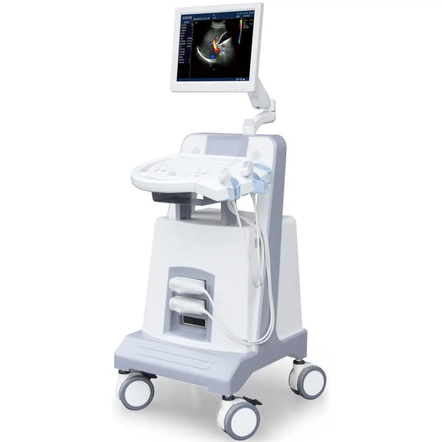 Portable 3D 4D Ultrasound for Medical Diagnostic Imaging Center Using Color Ultrasound for Gynecology — image 4