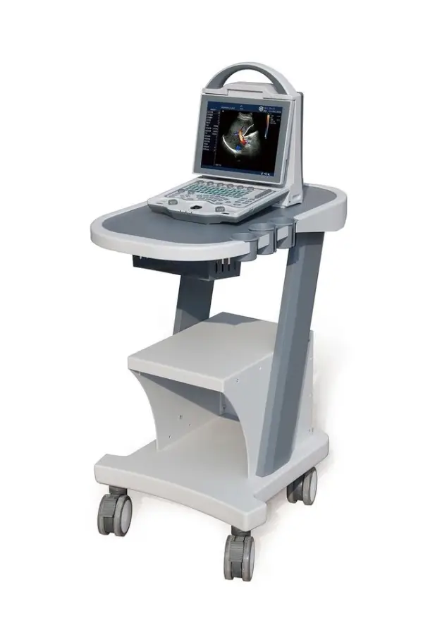 Human Use Medical Diagnostic Imaging Equipment Portable 2d 3d Ultrasound Scanner B/W Dp10 Ultrasound Machine — image 6