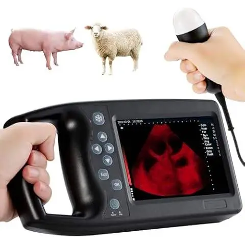 UMY UML5 Portable Electric Doppler Ultrasound Scanner for Pigs and Sheep Veterinarian Medical Diagnostic Class II Color Scanner — image 3