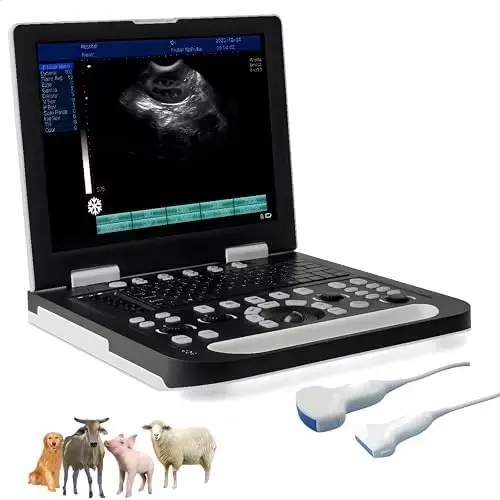 UMY UML5 Portable Electric Doppler Ultrasound Scanner for Pigs and Sheep Veterinarian Medical Diagnostic Class II Color Scanner — image 4