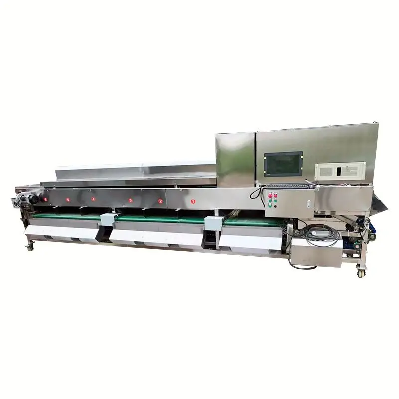 Industrial Fruit Visual Sorting Machine Grape Orange Tomato Date Inspection Sorting Machine — view 2