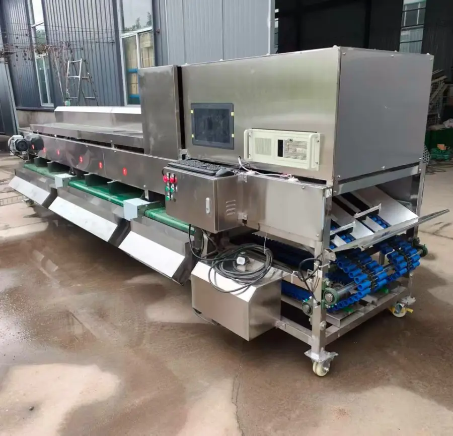Industrial Fruit Visual Sorting Machine Grape Orange Tomato Date Inspection Sorting Machine — view 3