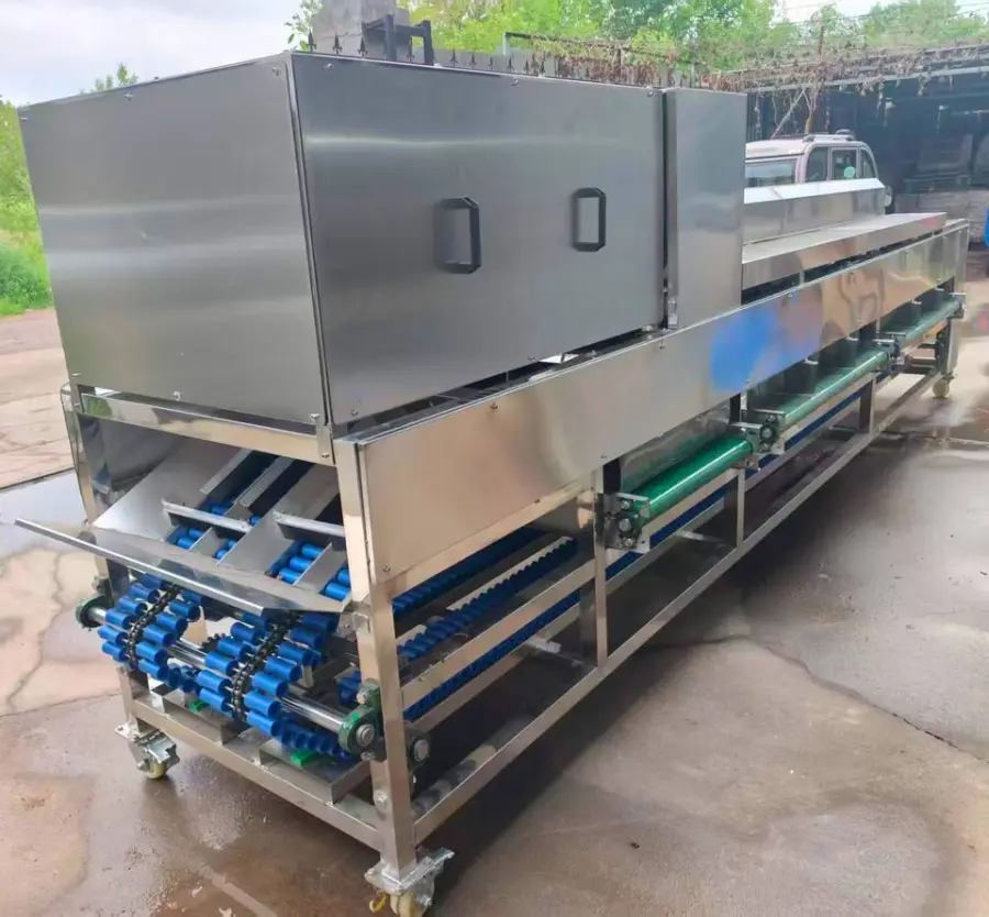 Industrial Fruit Visual Sorting Machine Grape Orange Tomato Date Inspection Sorting Machine — view 5