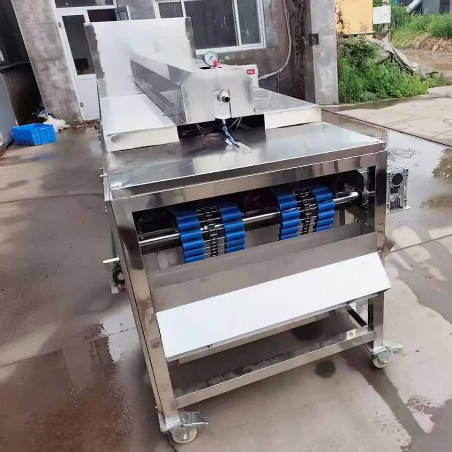 Industrial Fruit Visual Sorting Machine Grape Orange Tomato Date Inspection Sorting Machine — view 6