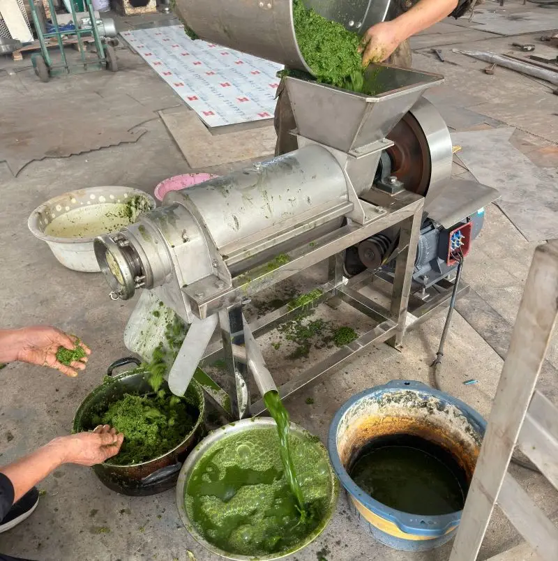 Stainless Steel Vegetable Fruit Crushing Juice Making Orange Apple Grape Juice Extrator Machine — view 3