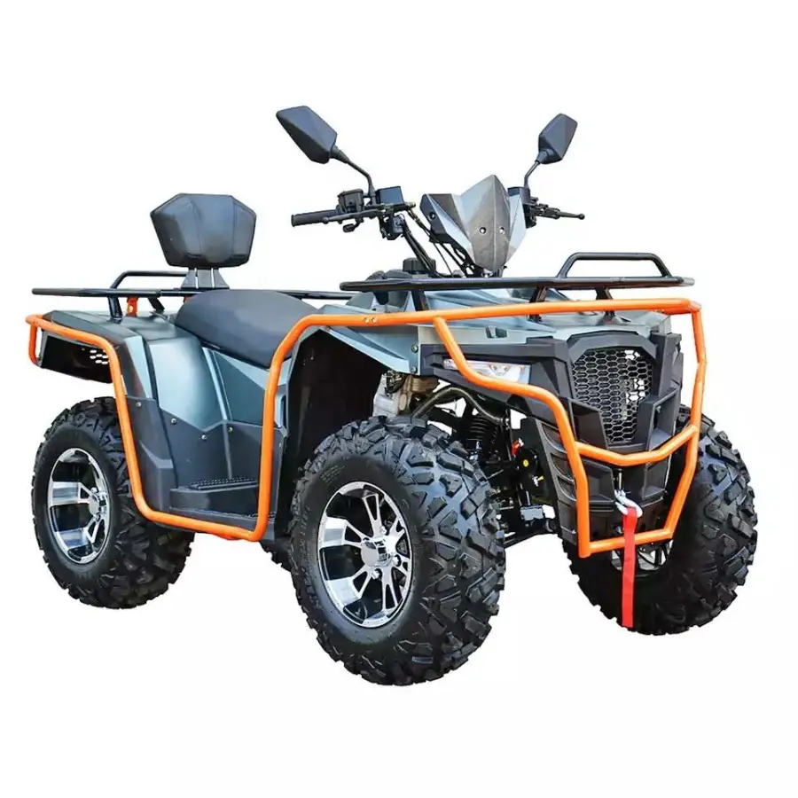300cc  Quad Bike Utility ATV 4x2 Bike for Sale Manual Transmission 4-Stroke Engine Amphibious Equipped Alloy dune Buggy — image 7