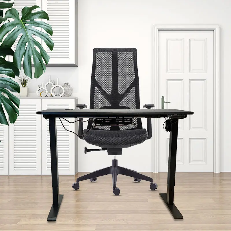 Adjustable Frame Autonomous Table Electric Dual Motor Sit Stand Office Desks Modern Metal — image 3