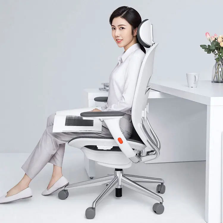 High-End Ergonomic Chair Adjustable Office Chair — view 1