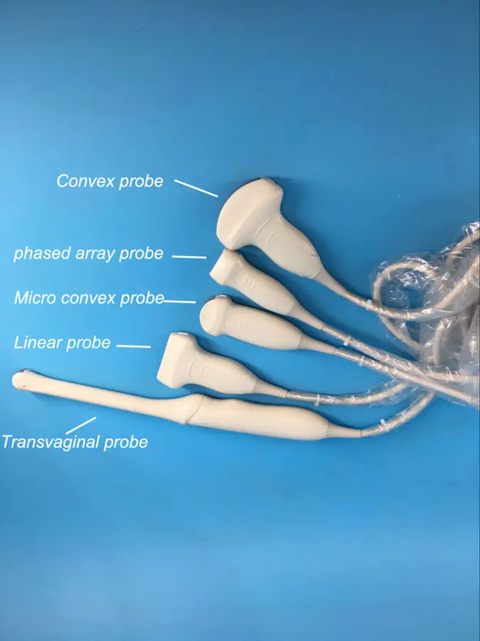 Portable 3d Ultrasound for Medical Diagnostic Imaging Center Using Veterinary Human Color Ultrasound for Gynecology — image 6