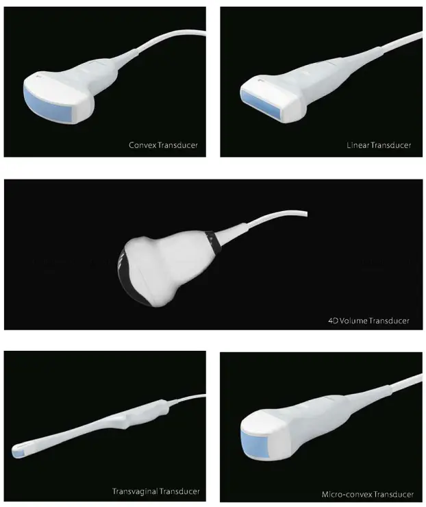 Abdomen Gynecology Obstetrics 4D Color Doppler Ultrasound Trolley Machine for Human & Animal Use — image 6