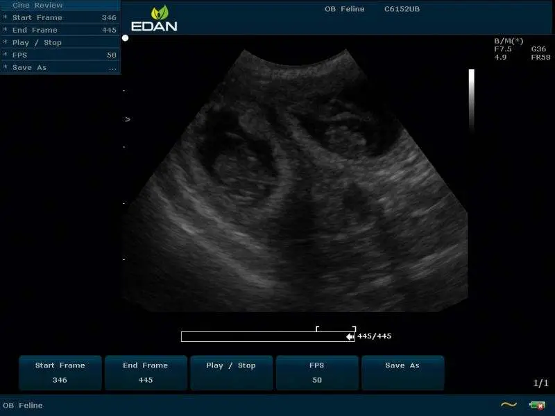 Edan U50 Veterinary Ultrasound Color Doppler Veterinarian Ecografo Veterinary Equipment — view 4