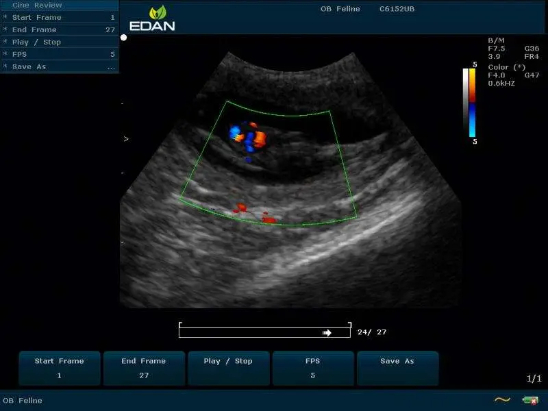 Edan U50 Veterinary Ultrasound Color Doppler Veterinarian Ecografo Veterinary Equipment — view 5