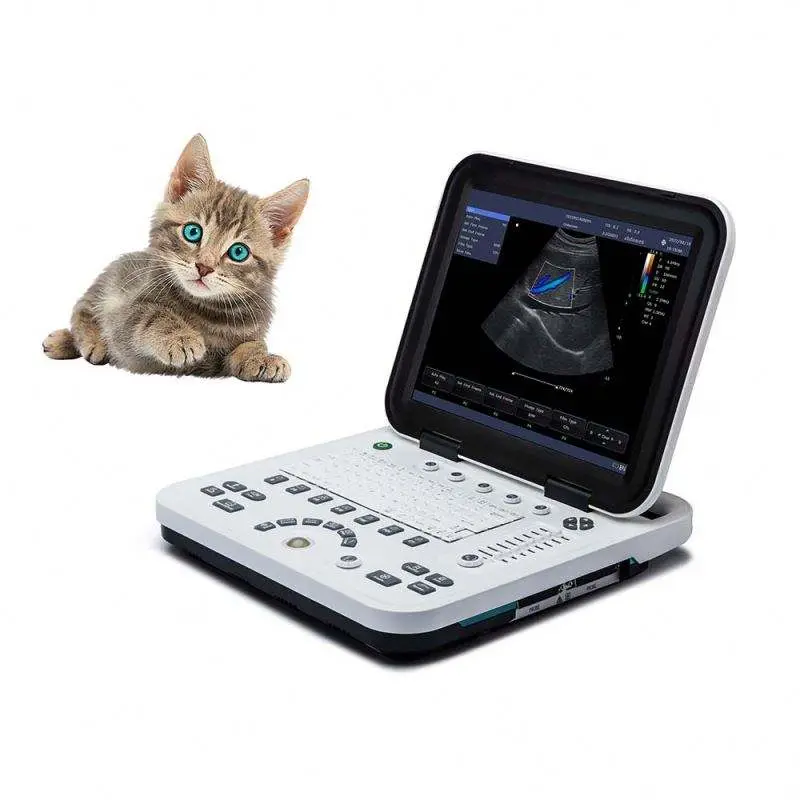 Cheapest Price Portable Medical Hospital Veterinary Clinic Laptop 3d Color Ultrasound Machine — view 1
