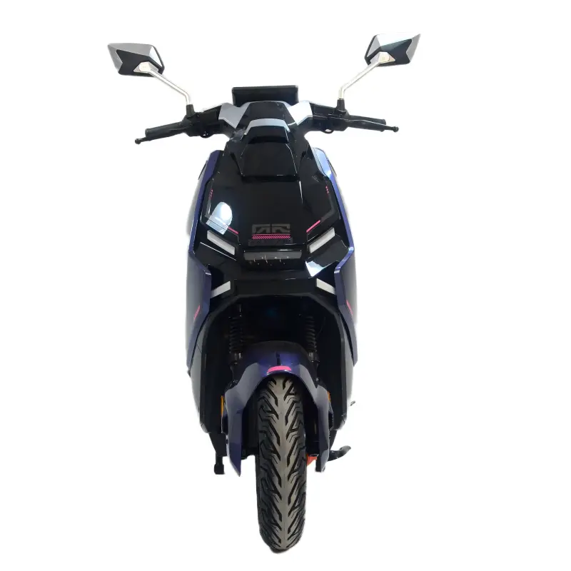 High Quality E-bike Adult Electric Touring Motorcycle with 1000W-2000W Motor & 250kg Load Capacity for City Commuting & Delivery — image 5