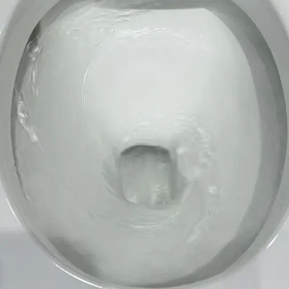 New Arrival Sanitary Ware Battery-free Smart Toilet Commode Ceramic One Piece Toilet White Color Wc Smart Toilet With Bidet — image 3