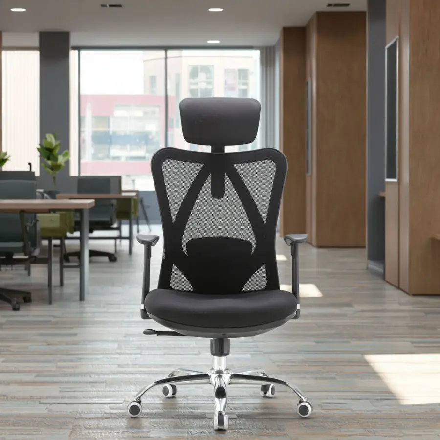 SIHOO Hot Selling M16 Ergonomic Office Chair with High Quality Mesh Back — view 1