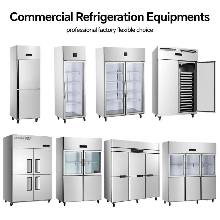 Dual Temp Commercial Upright Fridge Stainless Steel Digital Temp Display 10 Year Durability Anti Condensation for Restau — view 5