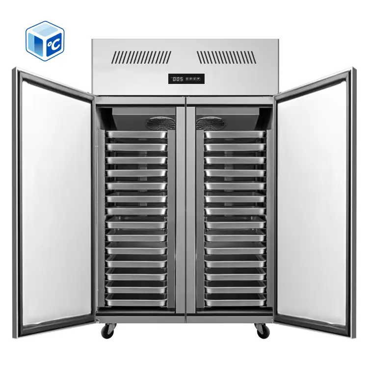 Commercial Freezer 2 Door 0℃-10℃ Frost-Free Fan Cooling Faster Cooling Commercial Refrigeration Equipment for Fruits Vegetables — image 5