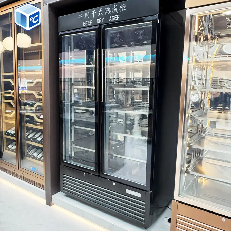 Factory Professional Dry Aging Chamber Stainless Steel Dry Aged Meat Aging Cabinet Commercial Dry Aging Refrigerator for — view 2