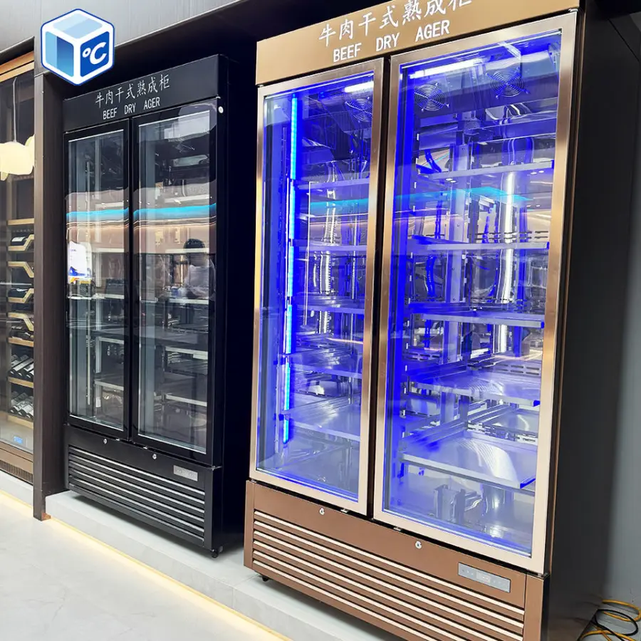 Factory Professional Dry Aging Chamber Stainless Steel Dry Aged Meat Aging Cabinet Commercial Dry Aging Refrigerator for — view 3