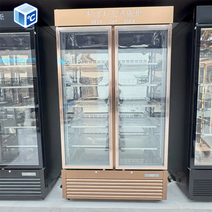 Factory Professional Dry Aging Chamber Stainless Steel Dry Aged Meat Aging Cabinet Commercial Dry Aging Refrigerator for — view 4
