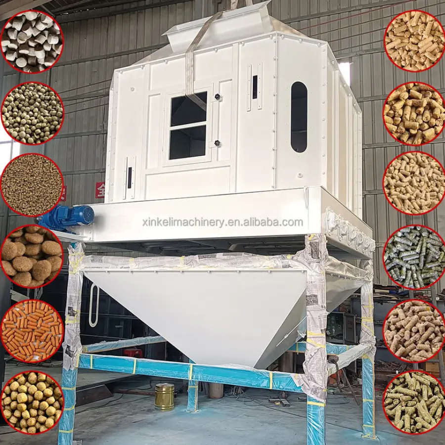 Automatic Control Animal Poultry Feed Pellet Making Machine Production Line for Central Asia Africa — view 4