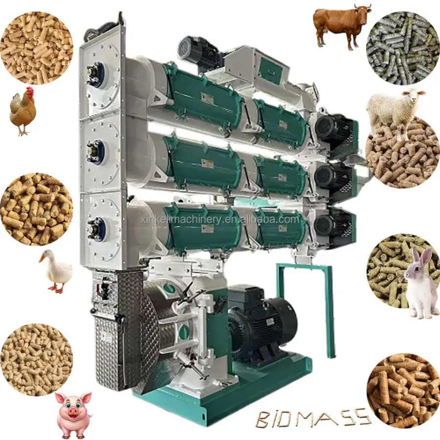 Automatic Control Animal Poultry Feed Pellet Making Machine Production Line for Central Asia Africa — view 5