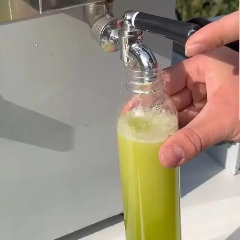 Commercial Booth Sugarcane Juicer Stainless Steel Electric Automatic Sugarcane Machine Vertical Press — view 4