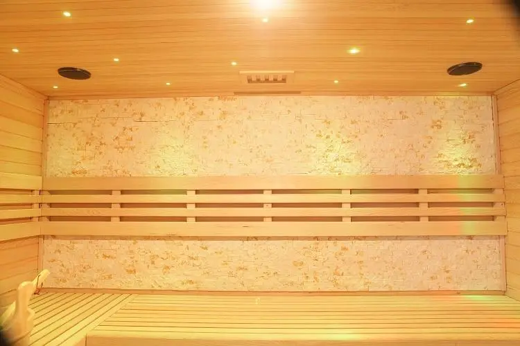 Hot Selling Nudist Sauna Traditional Steam Sauna Room With Wholesale Price — image 5