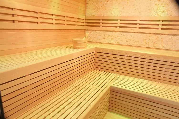 Hot Selling Nudist Sauna Traditional Steam Sauna Room With Wholesale Price — image 6