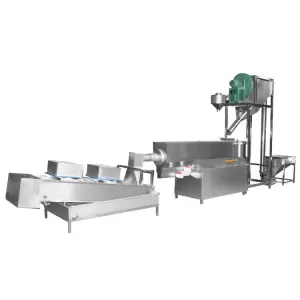 Beans Seed Washing and Drying Machine