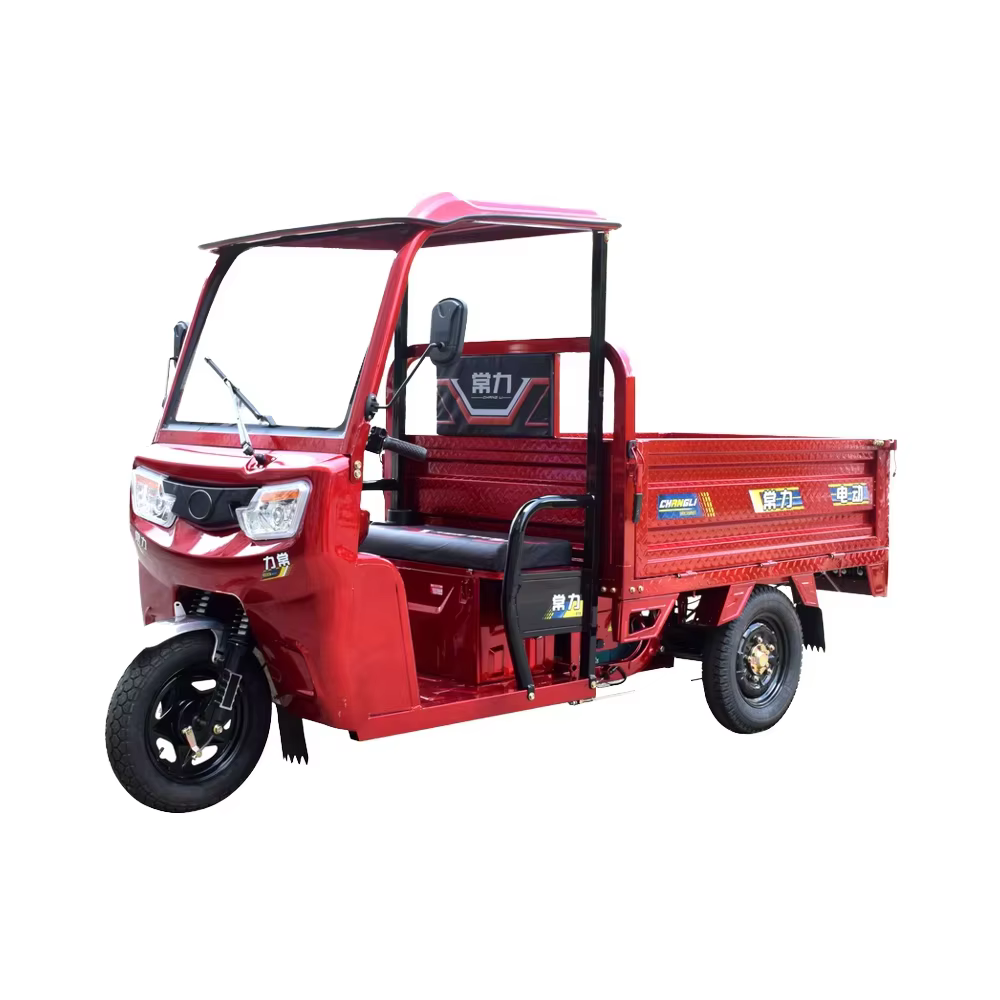 Changli 1200W 3-Wheel Electric Cargo Tricycle