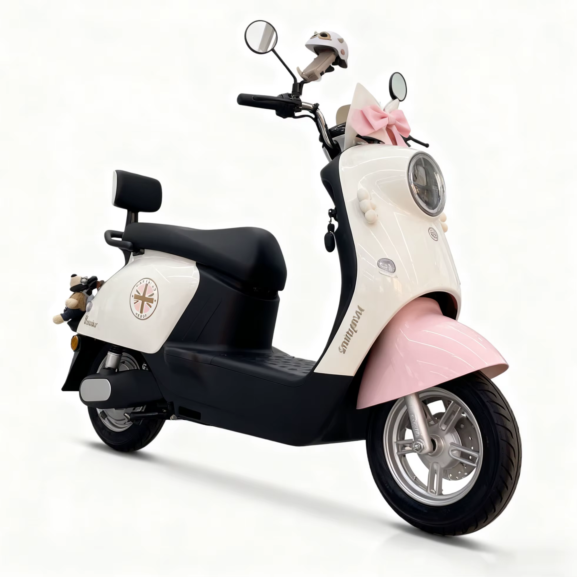 10inch 800W Folding Electric Bicycle