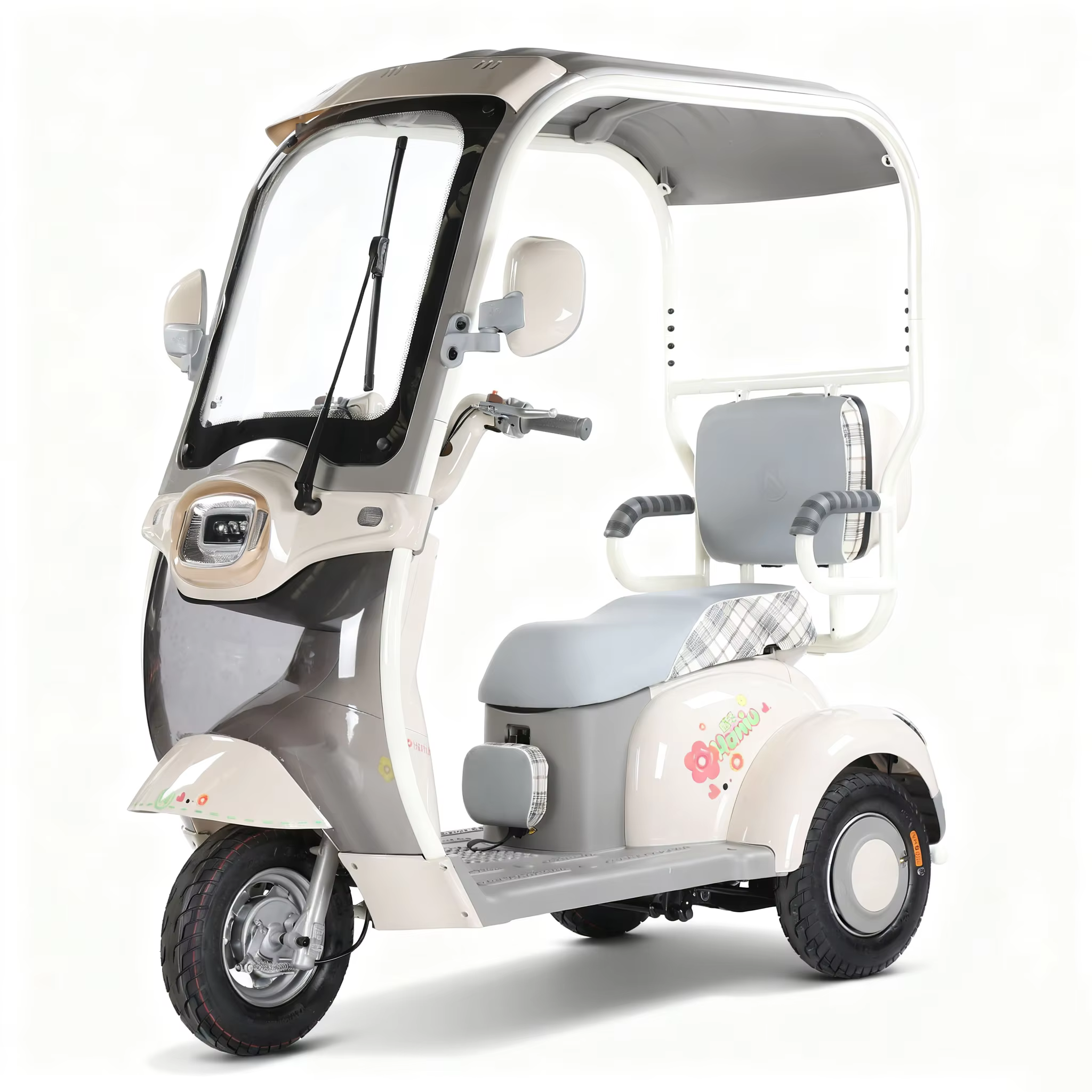 Electric Tricycle Vehicle 3 Wheels Adult Trike