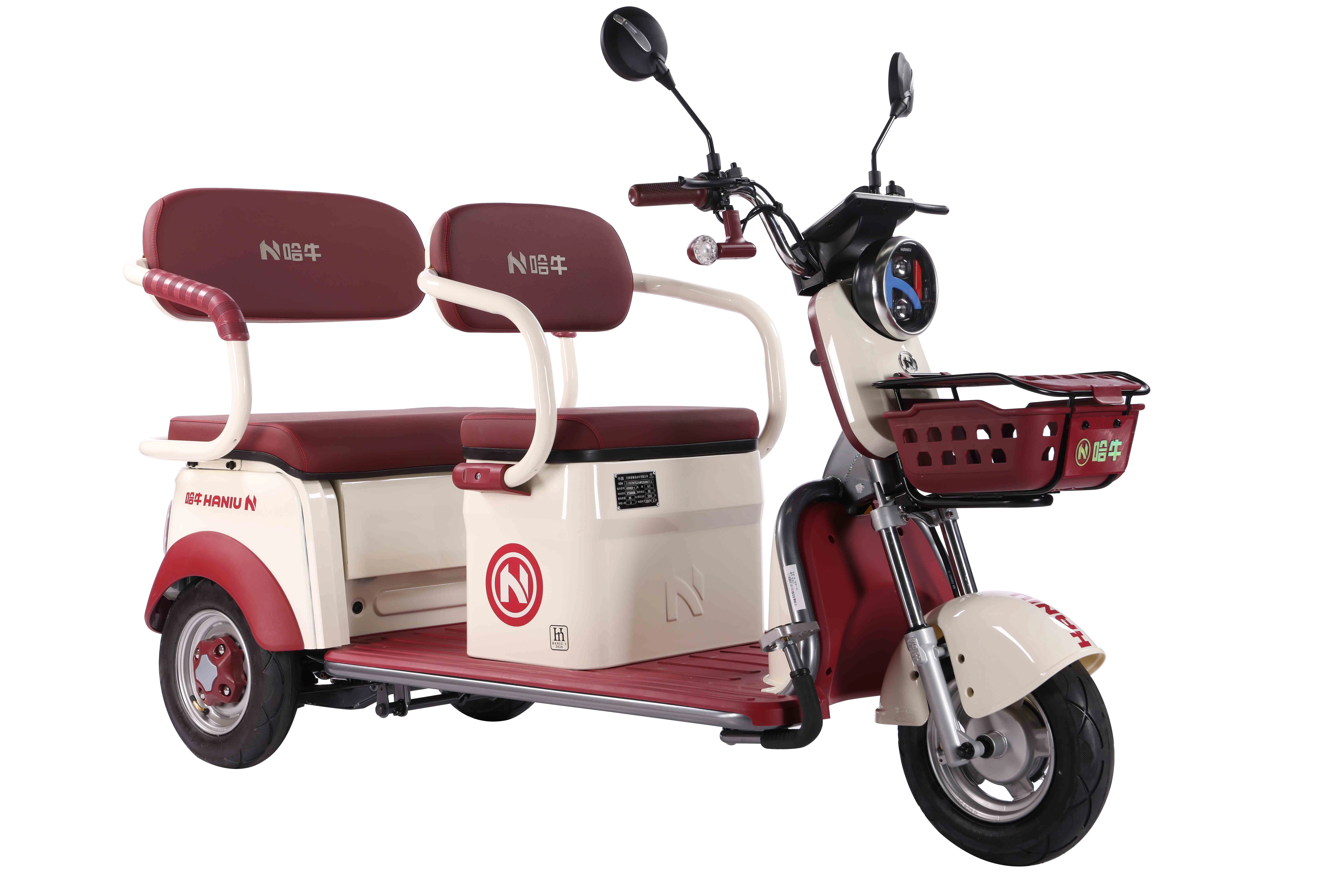 Topmate ES32 Electric Tricycle for Adults