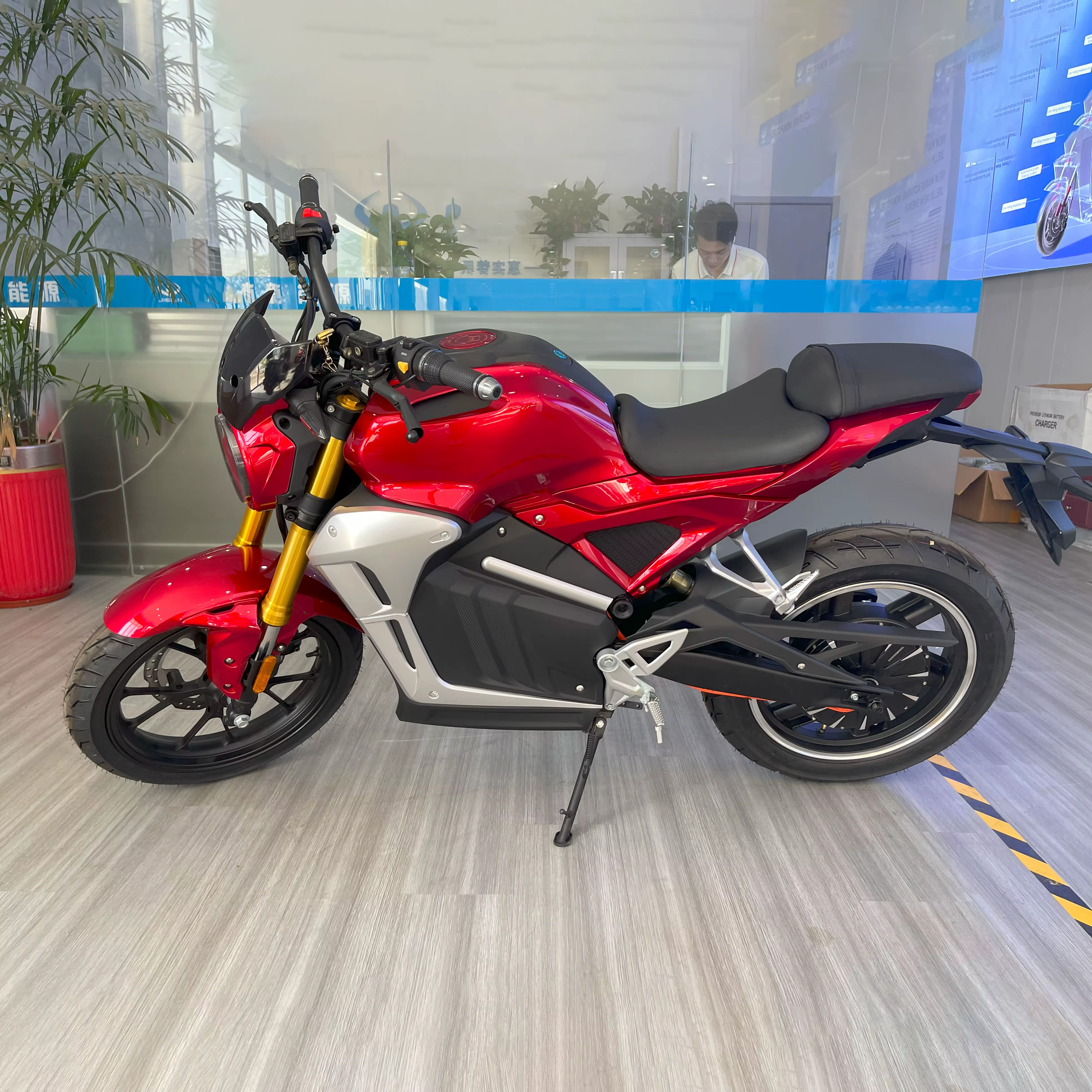 EEC COC Electric Racing Scooter Motorbike Off-Road 36V Dirt Bike