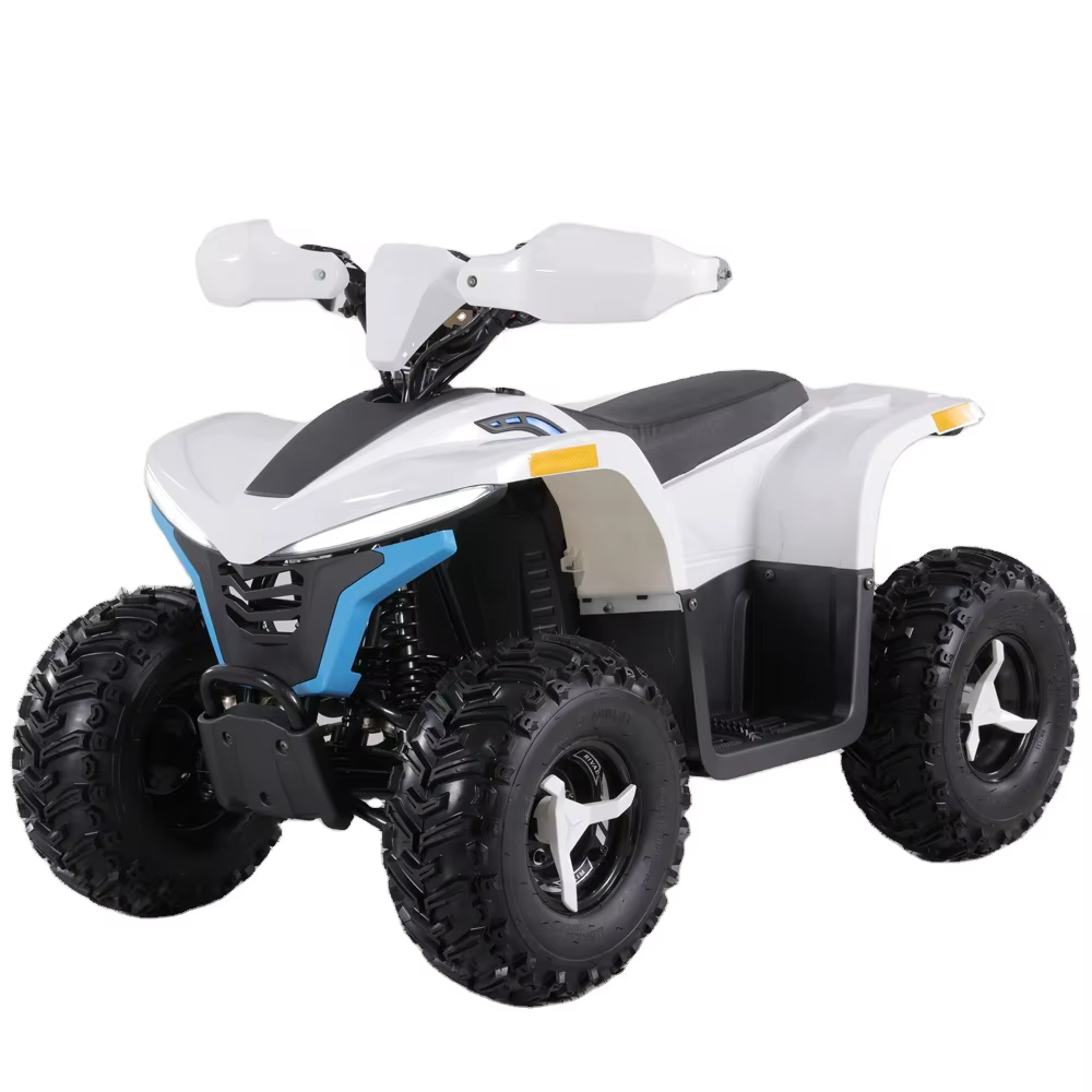 Tao Motor 2023 Latest Design 48V 1600W Teenage Kids ATV Electric