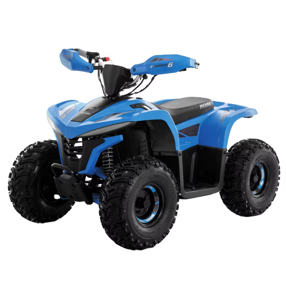 Tao Motor 2023 Latest Design Adult and Teenage ATV Electric ATV 4x4