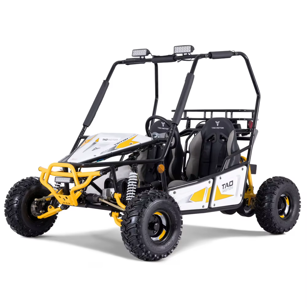 Tao Motor 2023 New Design Buggy 125cc Go Kart for Adults