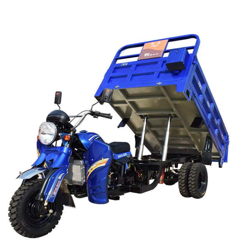 New Style 250cc Passenger and Cargo Tricycle Motorcycle