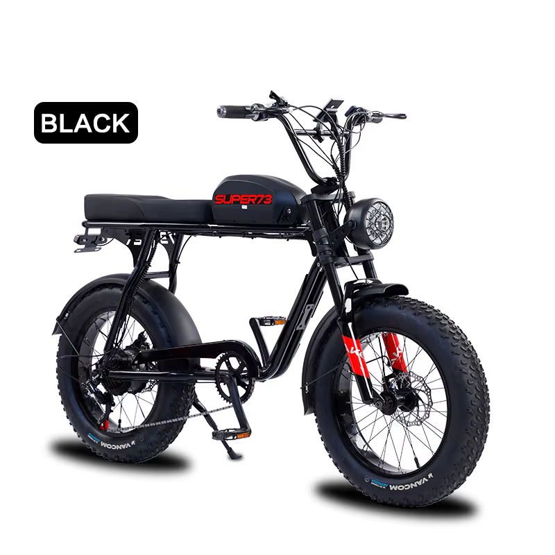 S3 Top Quality 1500W 48V Lithium Battery High Power E Bike